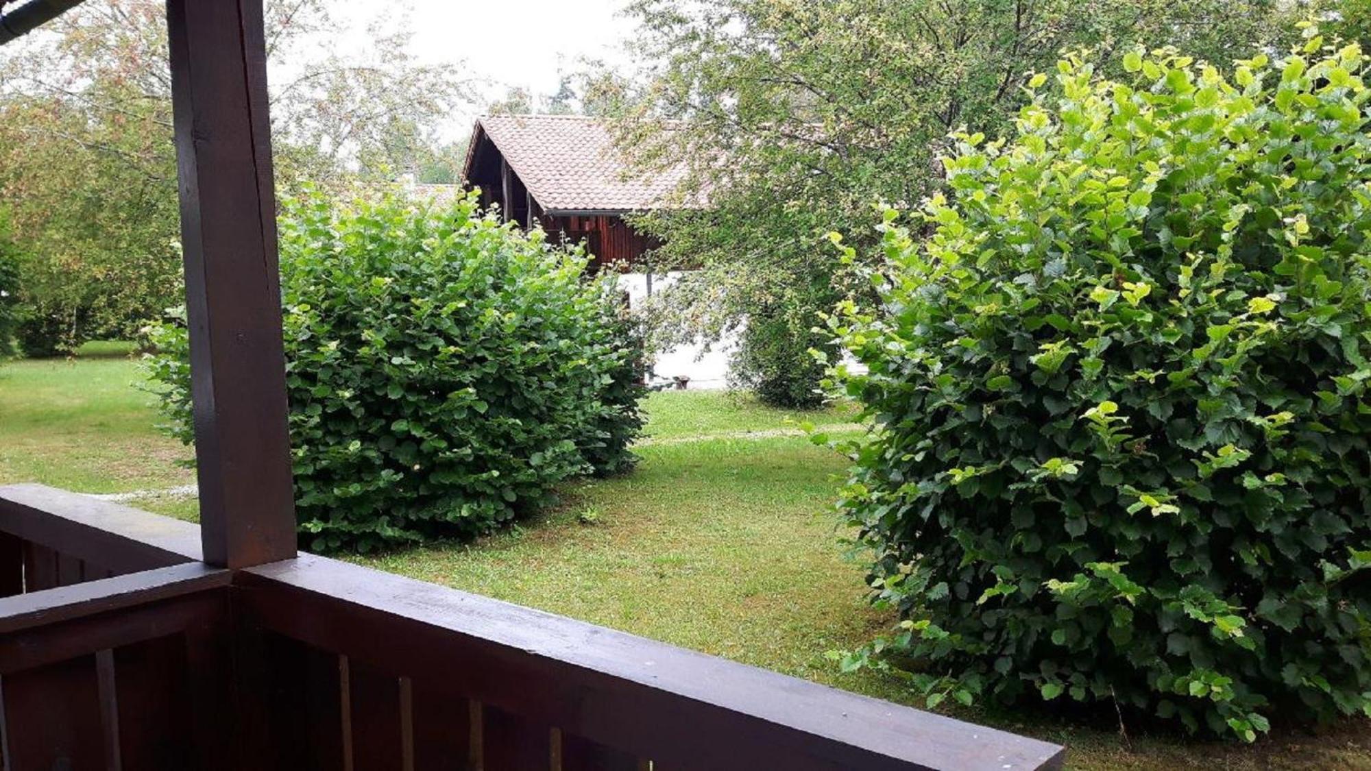 Ferienhaus Virzi - Waldferiendorf Regen Bagian luar foto