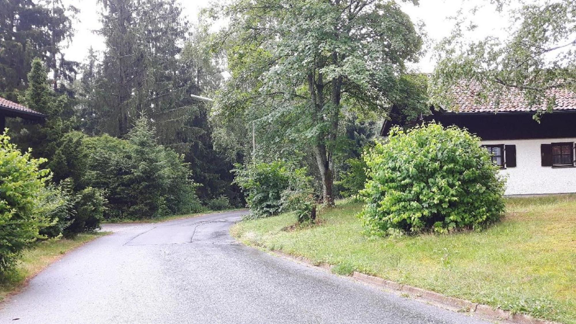 Ferienhaus Virzi - Waldferiendorf Regen Bagian luar foto