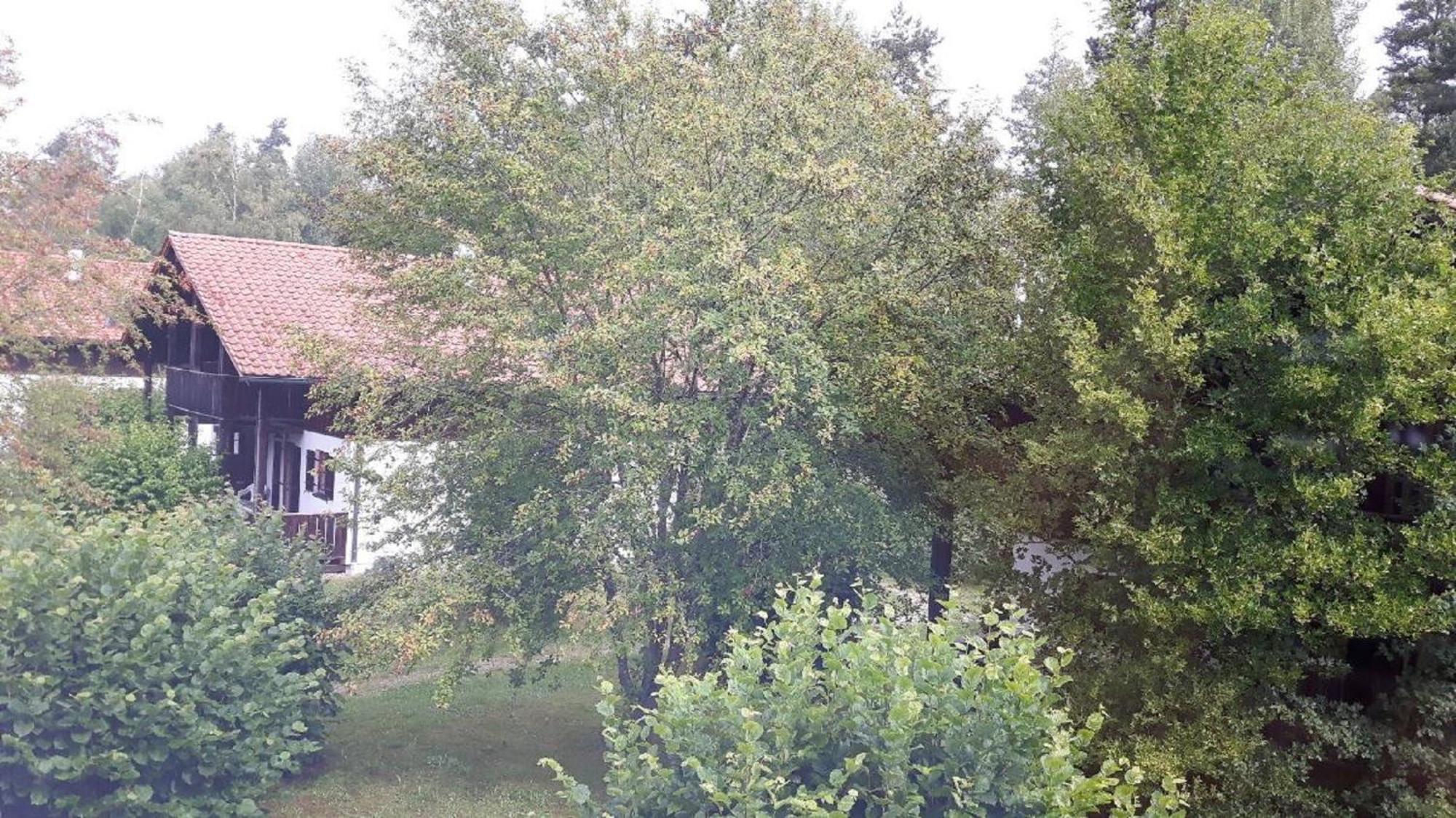 Ferienhaus Virzi - Waldferiendorf Regen Bagian luar foto
